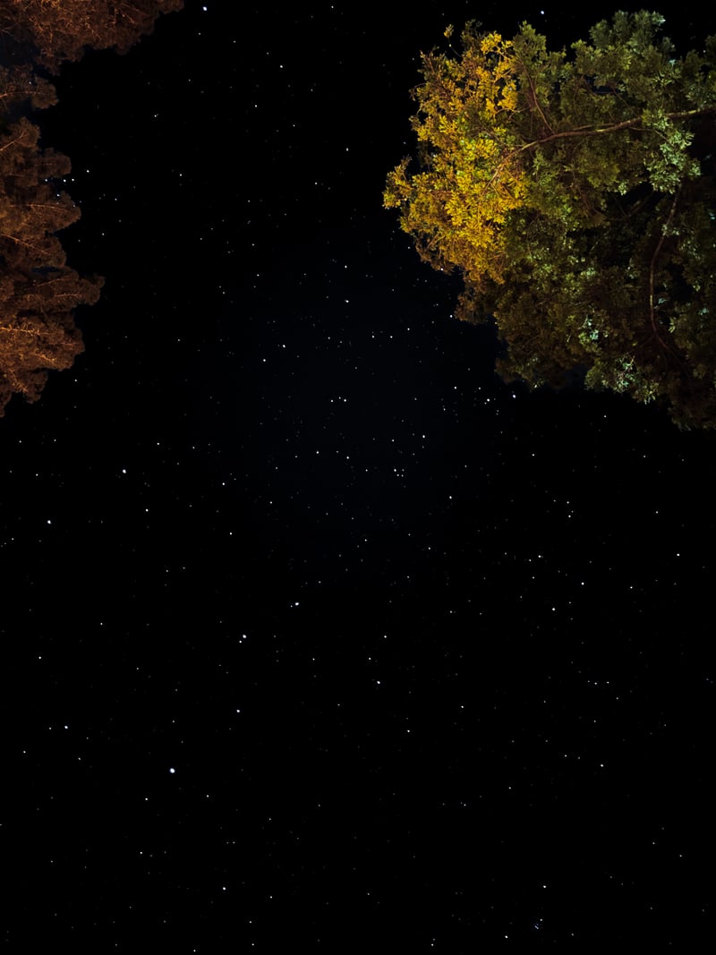 Bohemian Highway Night Sky