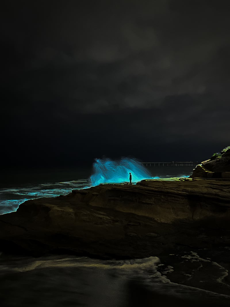 Sunset Cliffs - Santa Cruz Avenue