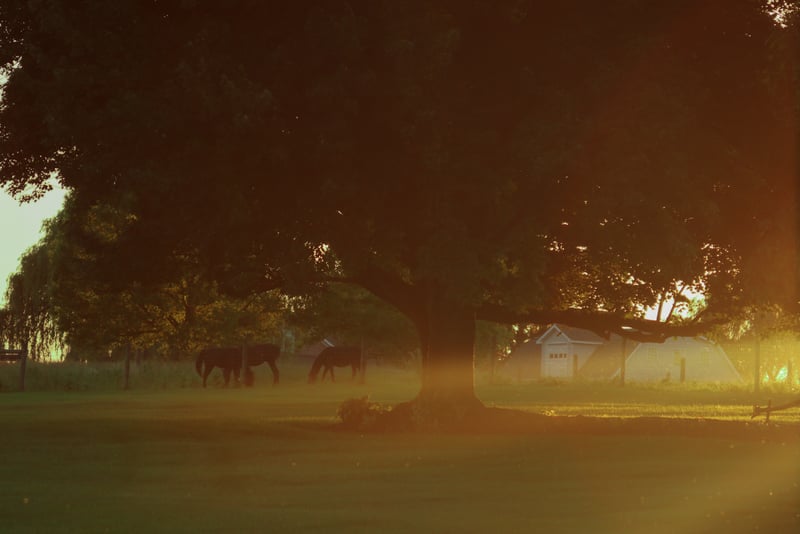 Lancaster County Farmland