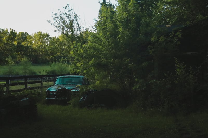 Vintage Car in Overgrown Field