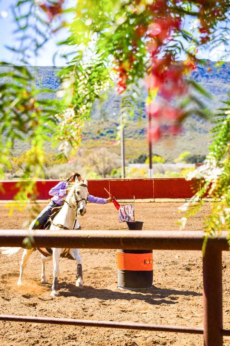 Rainbow Heights Equestrian Ranch