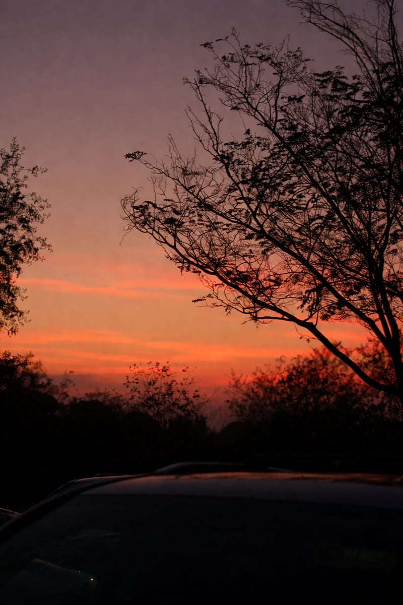 Oceanside Sunset Silhouette
