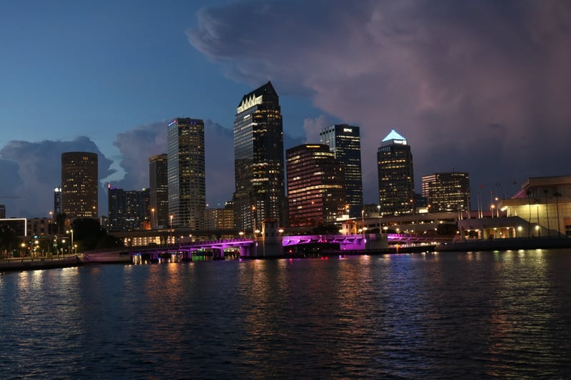 Davis Islands Skyline View