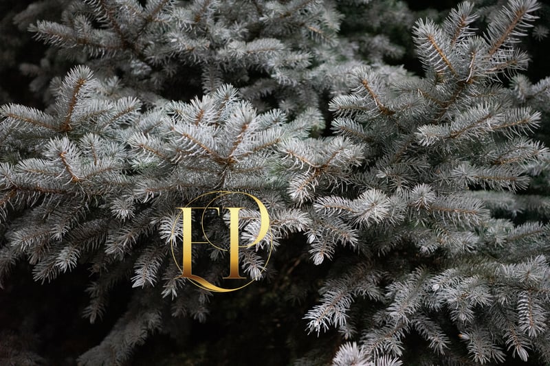 Evergreen Textures of Paramus
