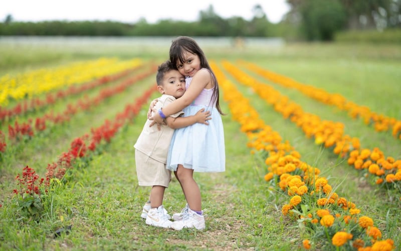 The Berry Farm