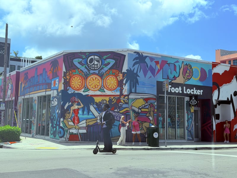 Wynwood Art District Murals