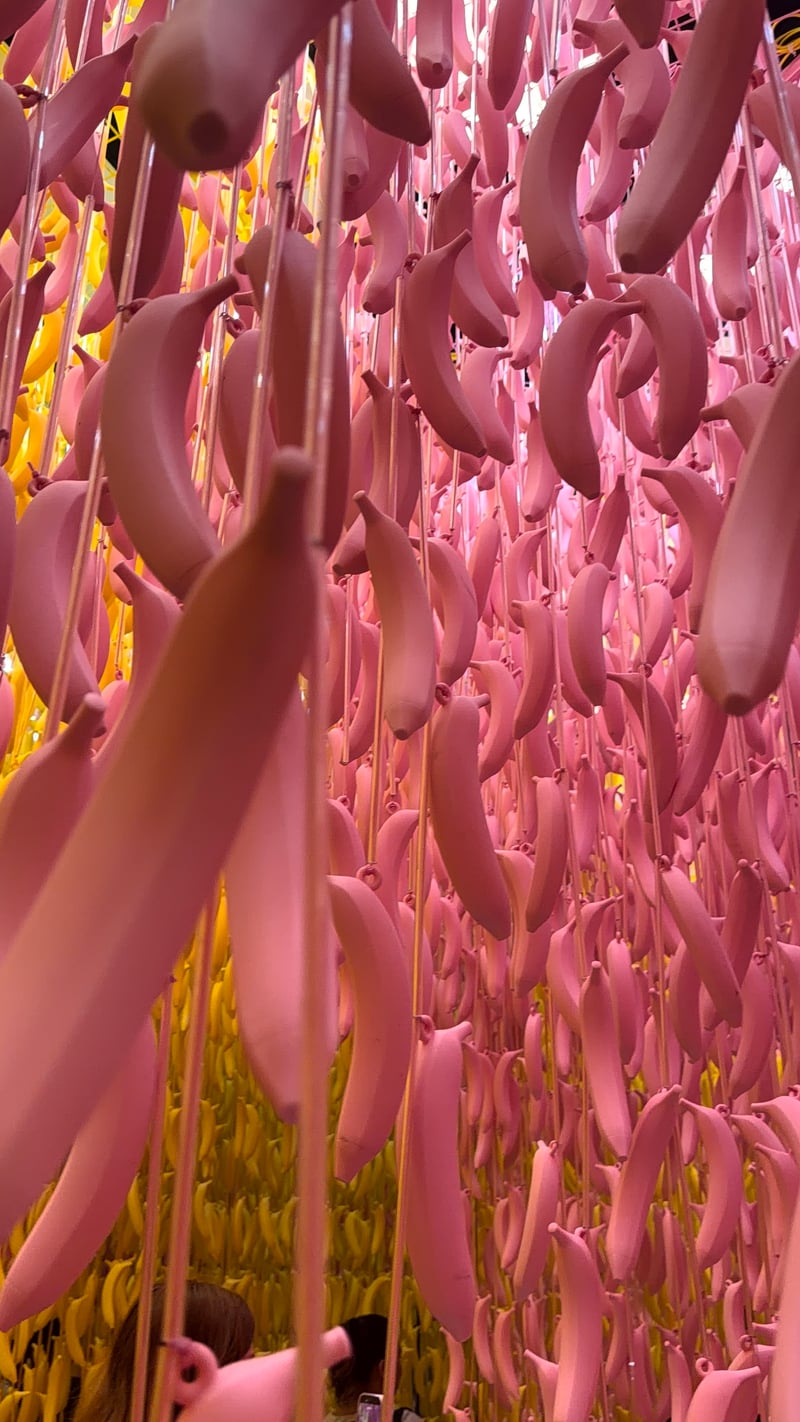Museum of Ice Cream Miami