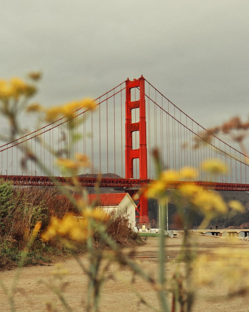 Golden Gate Bridge from Crissy Field