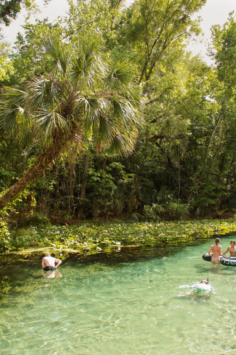 Rock Springs at Kelly Park