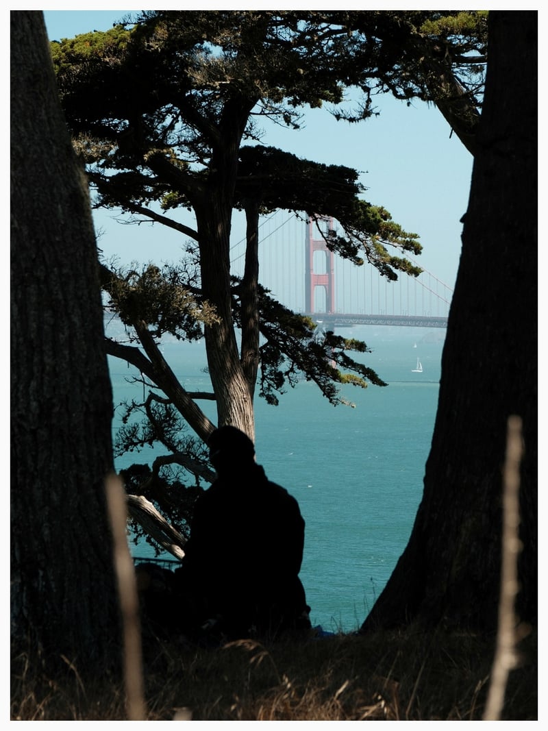 Golden Gate Bridge Overlook at Lands End