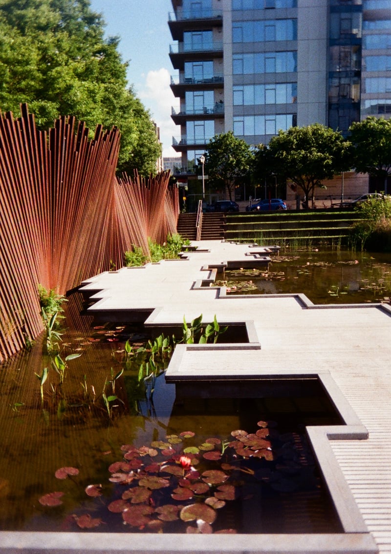 Tanner Springs Park