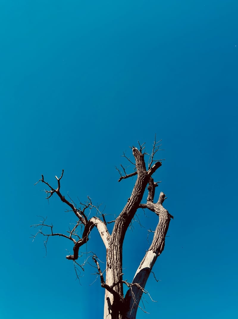 Father Hennepin Bluff Park
