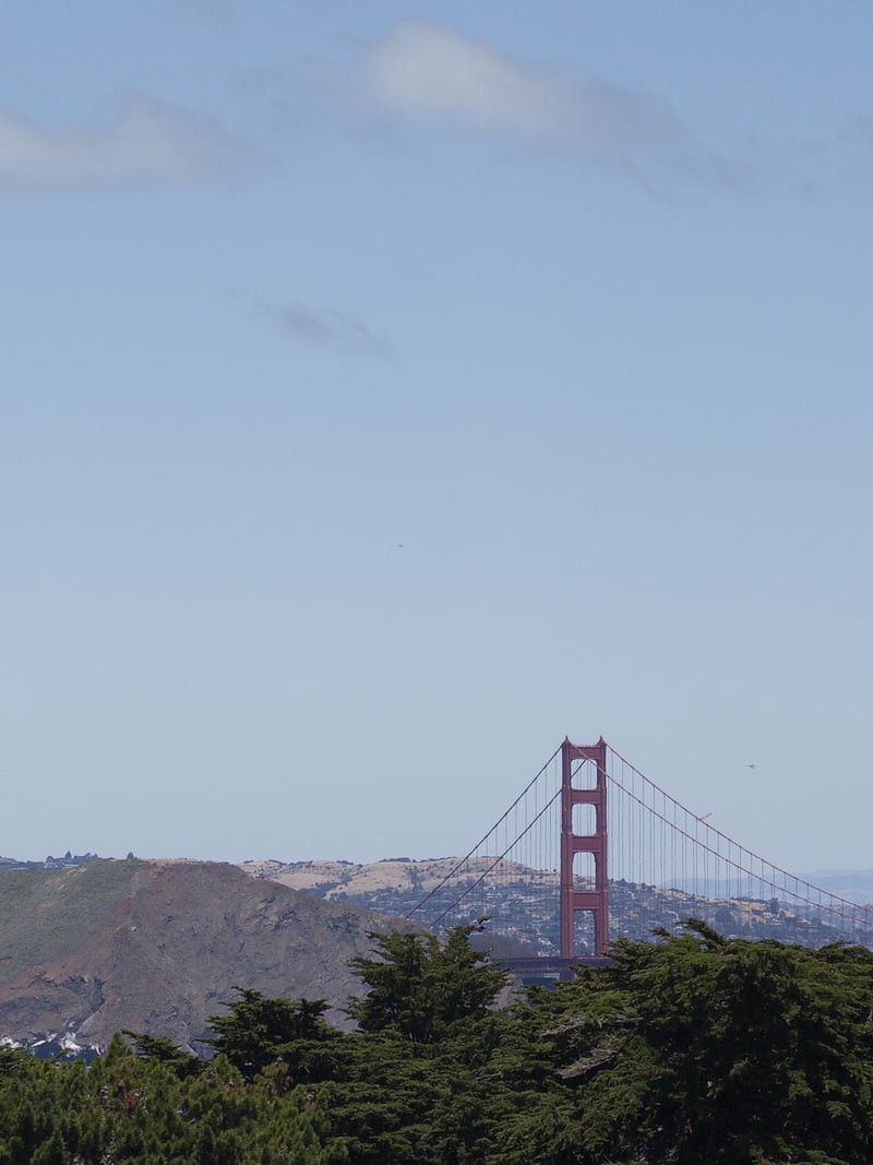 Legion of Honor Overlook