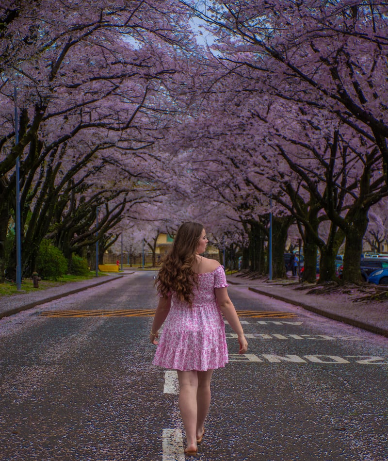 Sakura Tunnel Musashimurayama