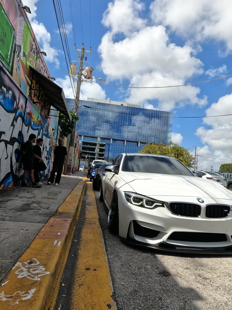 Wynwood Art District Murals