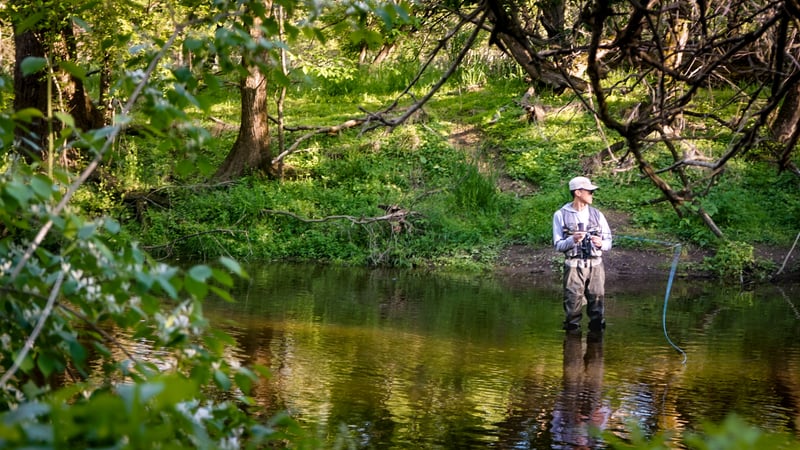 Wissahickon Creek at Valley Green