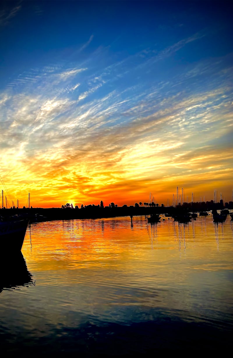 America's Cup Harbor