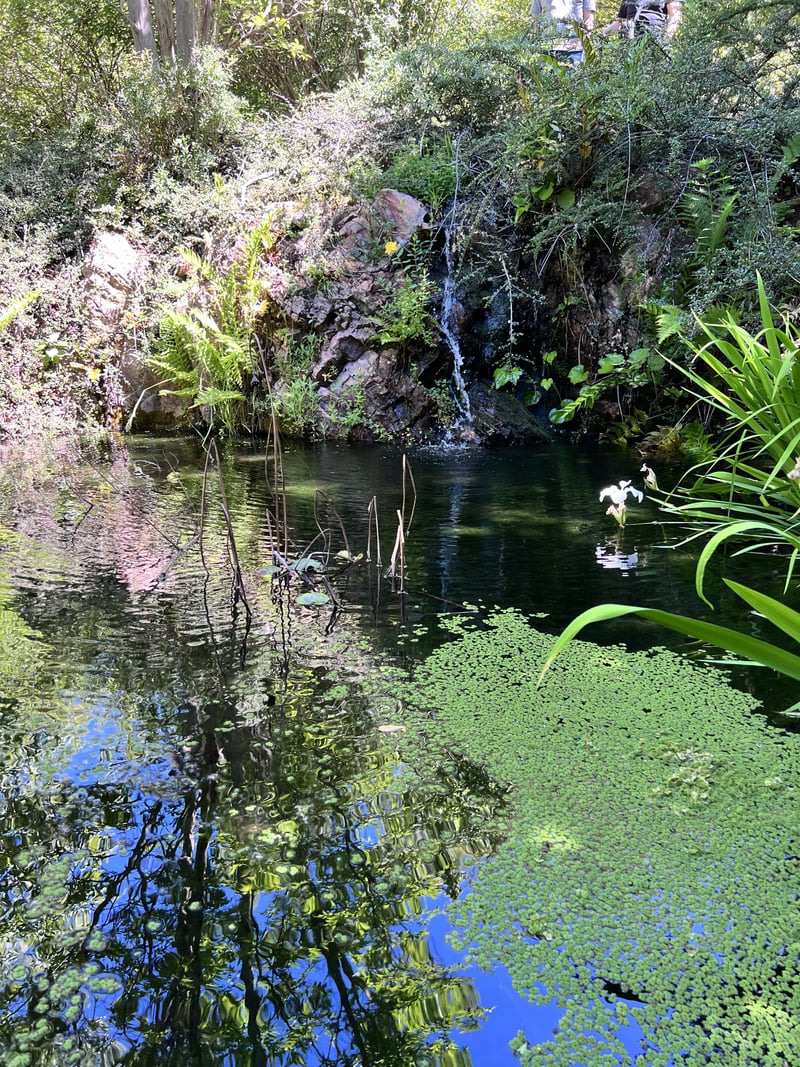 Glen Ellen Garden Pond