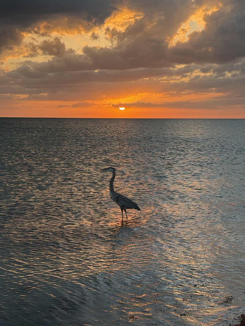 Fort Myers Beach Sunset