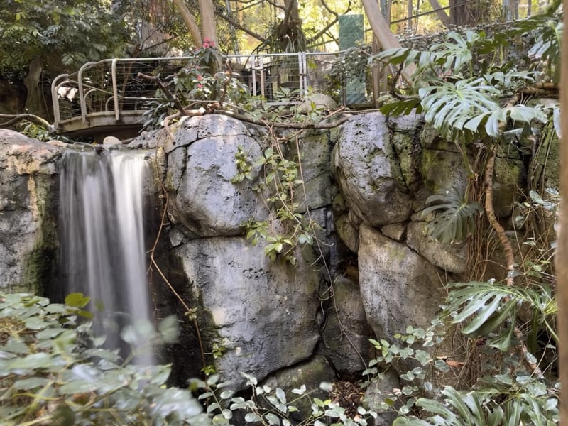 Tropical Garden Waterfall