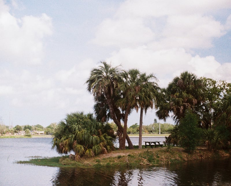 Taylor Park Lakefront