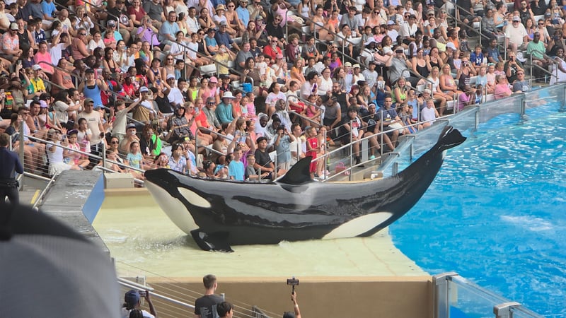 Shamu Stadium at SeaWorld Orlando