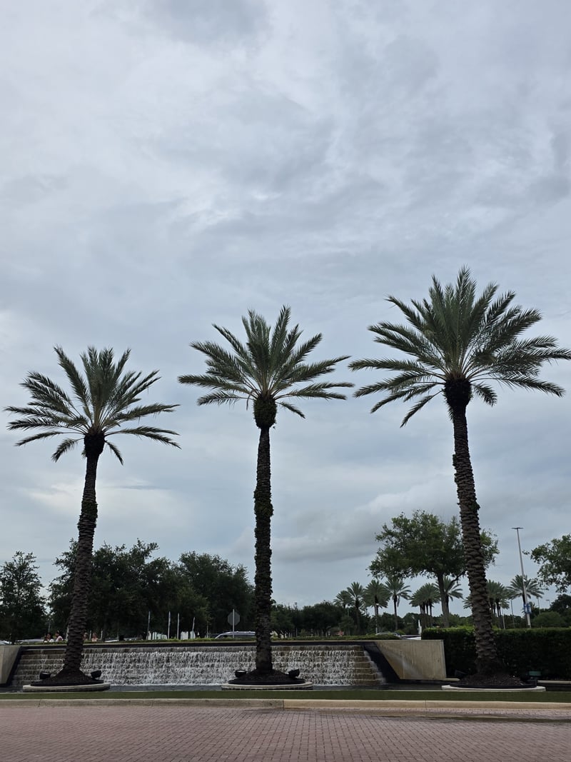 Millenia Park Palm Fountain