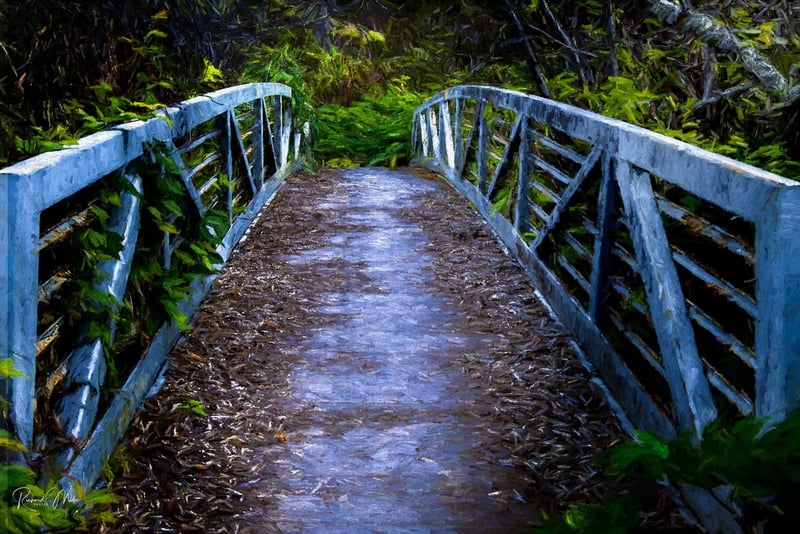 Gualala Point Trail Bridge
