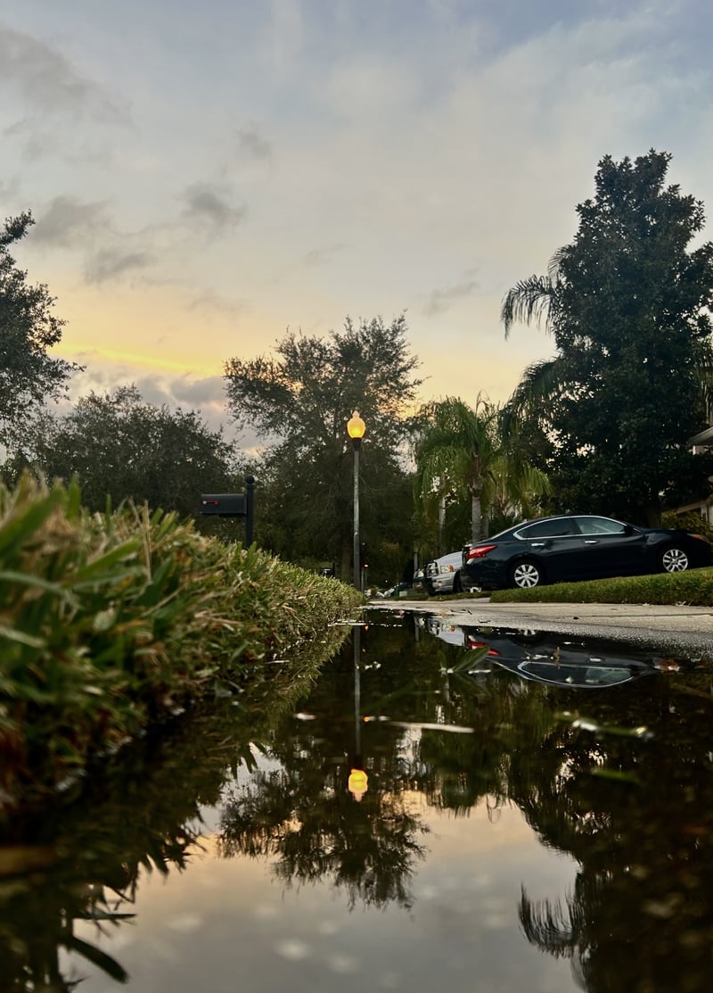 Black Lake Boulevard Reflection Spot