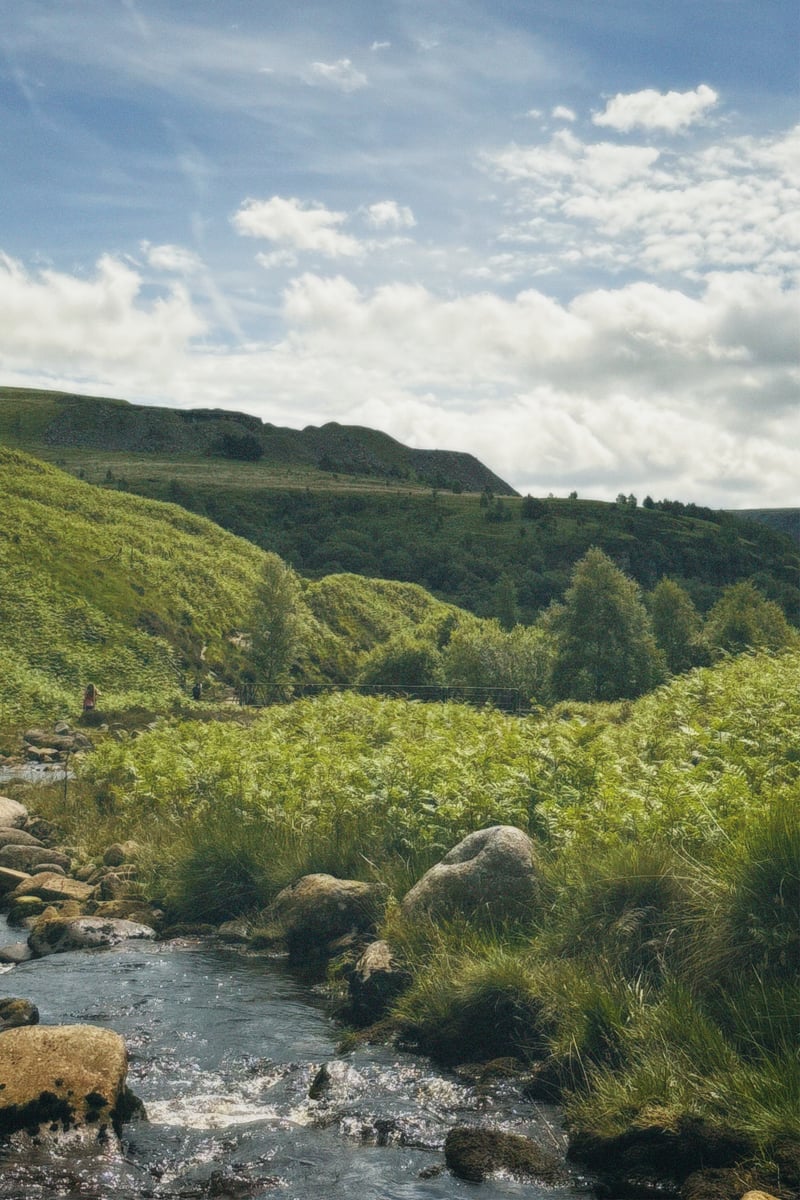 Peak District Moorland Stream