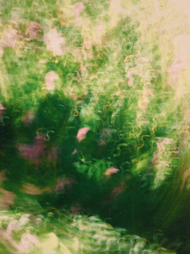 Brandon Floral Landscaping