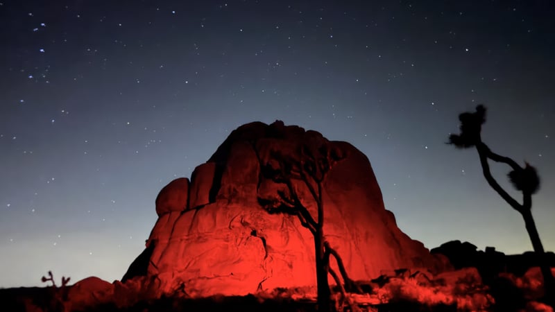 Joshua Tree National Park