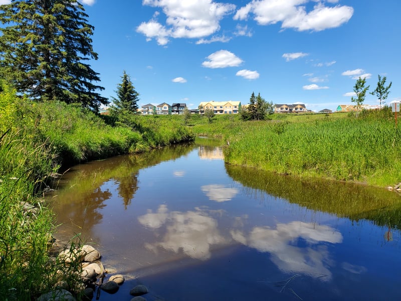 Blackmud Creek Ravine