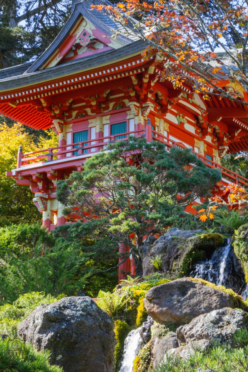 Japanese Tea Garden