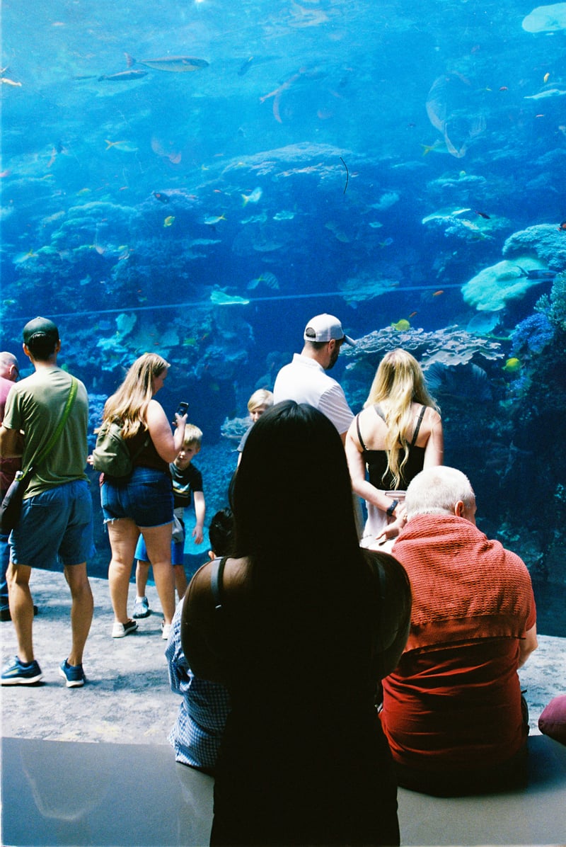 Georgia Aquarium