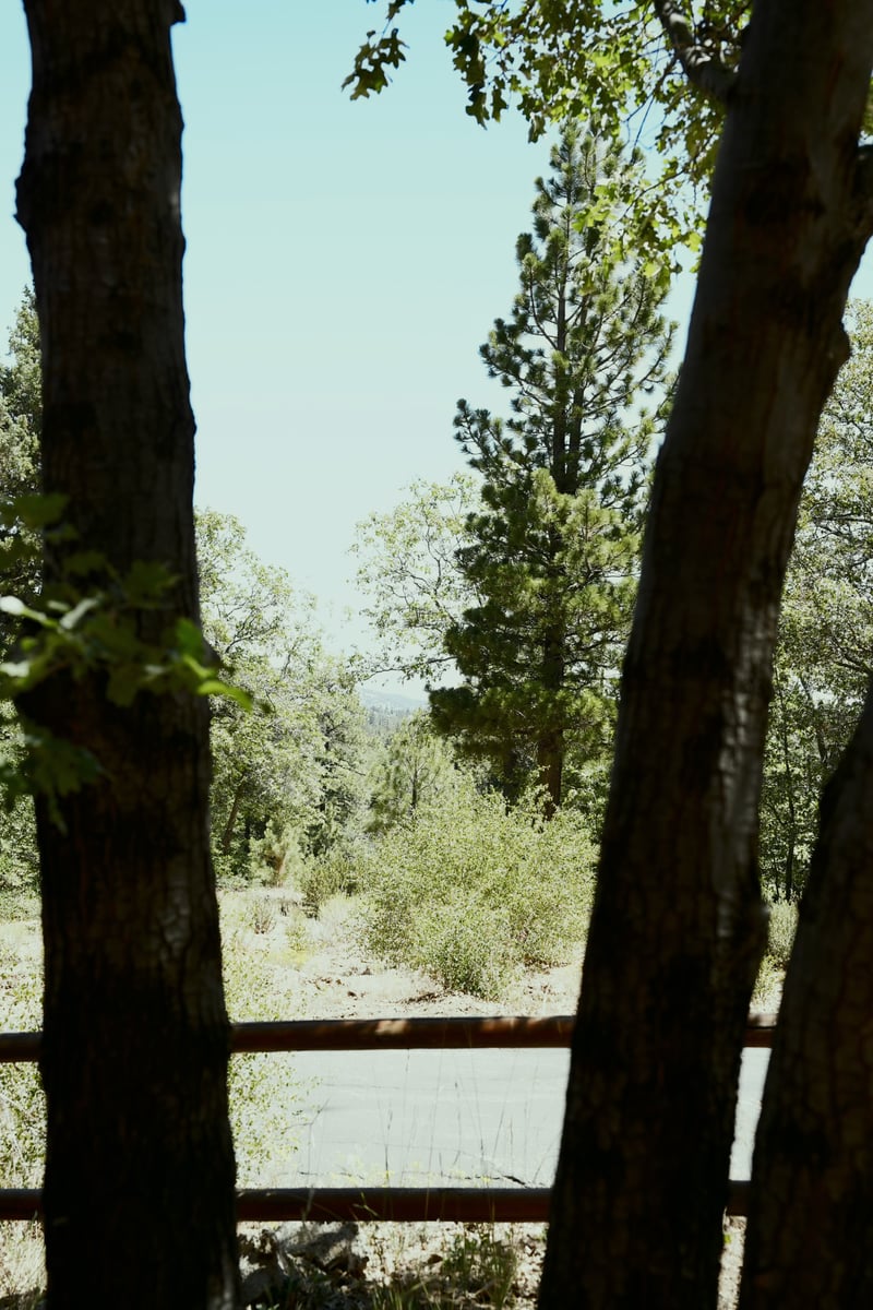 Big Bear Forest Overlook