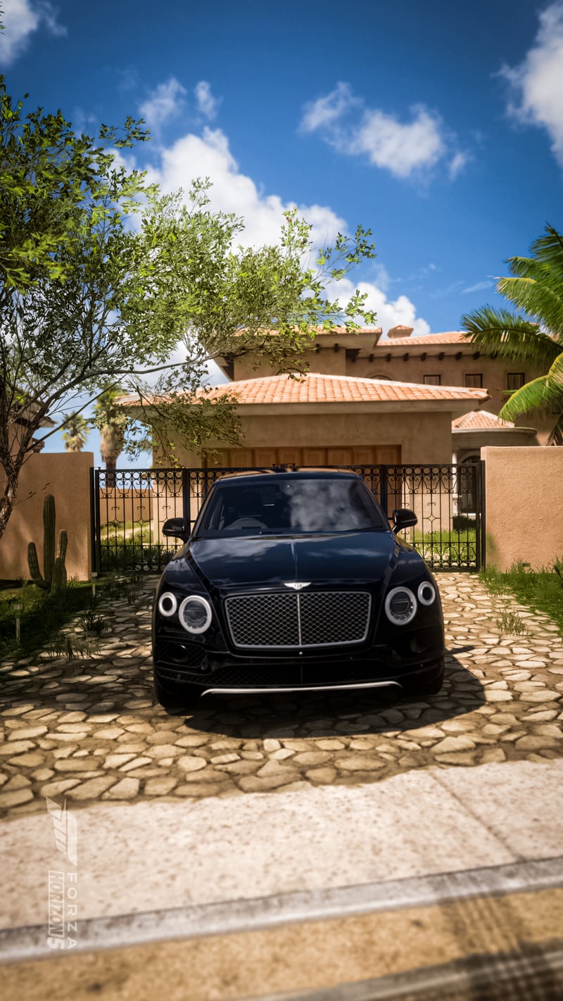 Mediterranean Villa Driveway