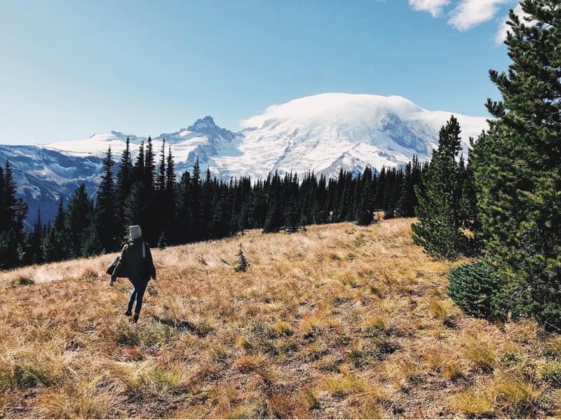 Mount Rainier National Park