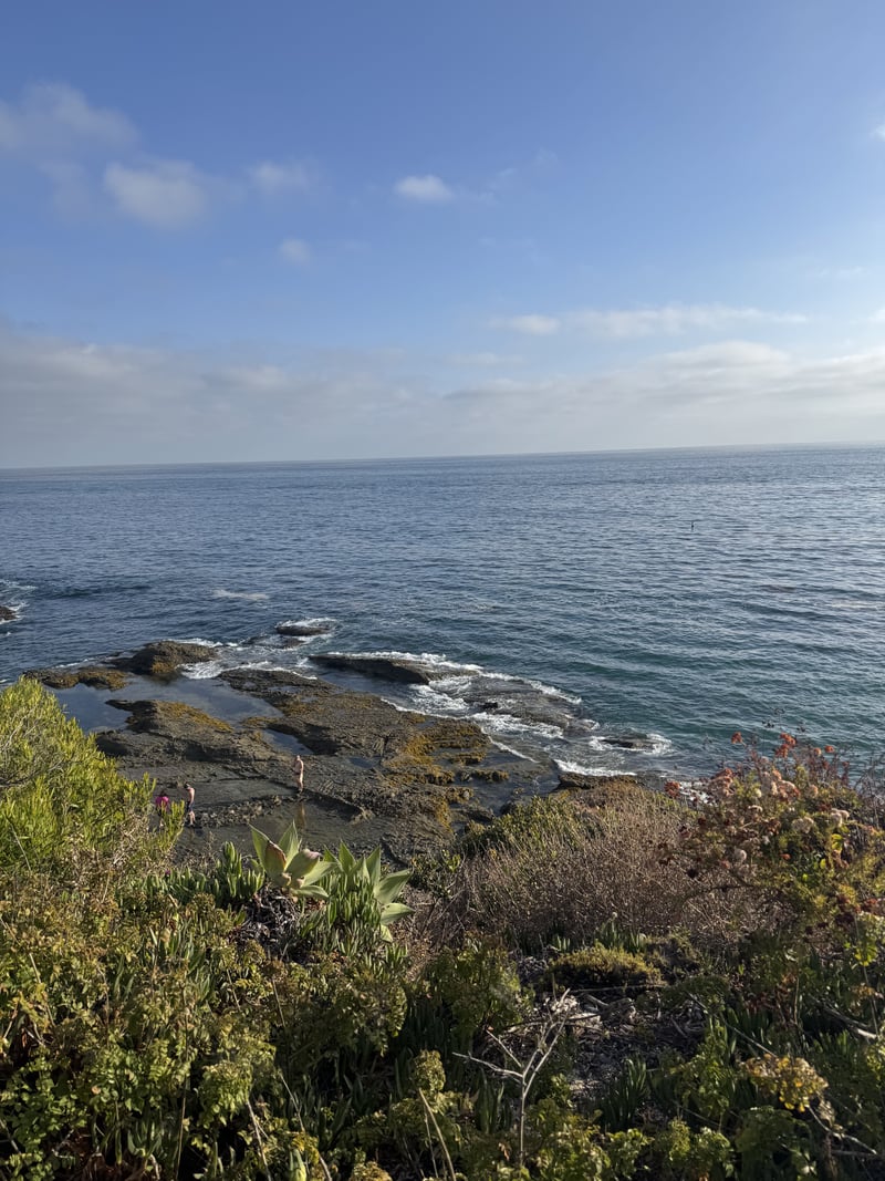 Treasure Island Beach Overlook