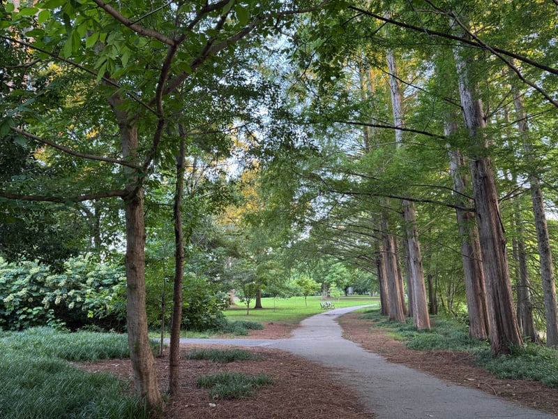 Piedmont Park