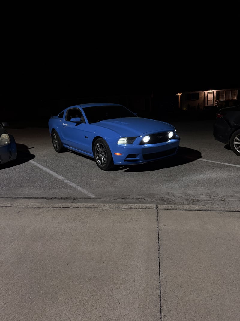 Wilson Suburban Night Parking