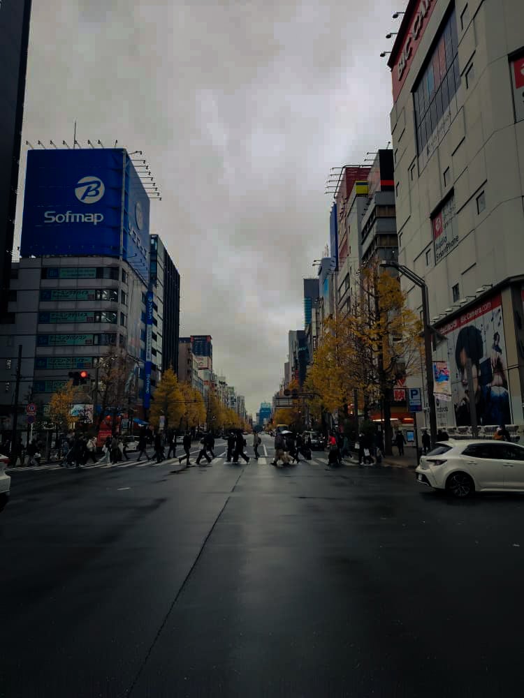 Akihabara Electric Town