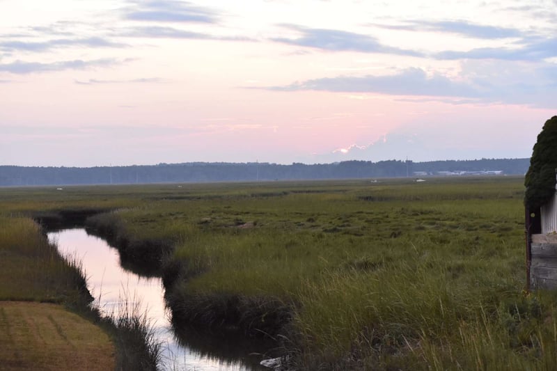 Ten Mile River Wetlands