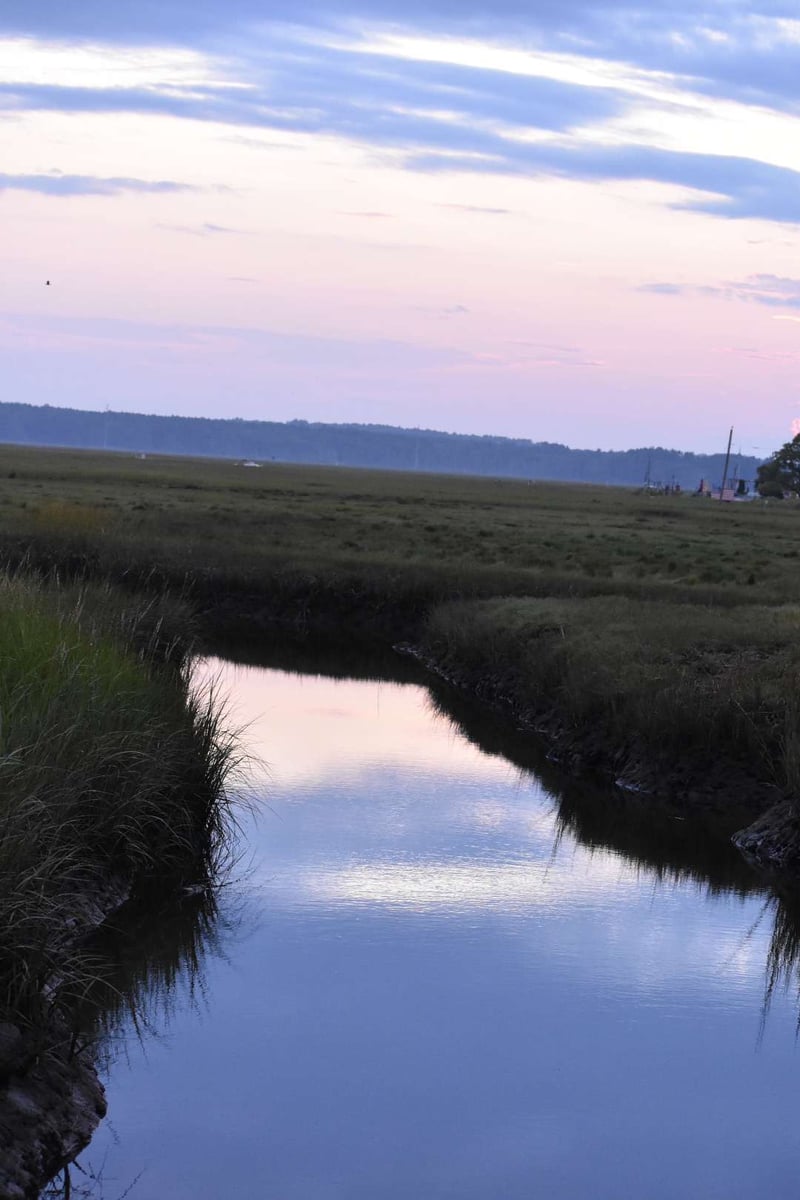 Ten Mile River Wetlands