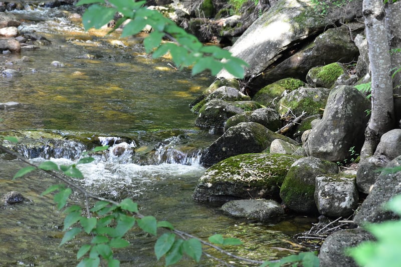 Ten Mile River at Attleboro