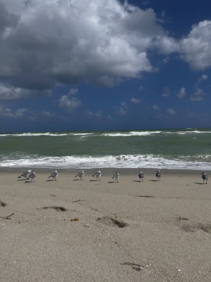 Surfside Beach