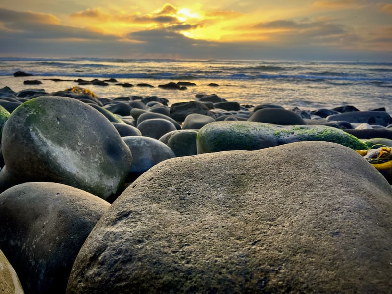 Scripps Coastal Reserve Shoreline