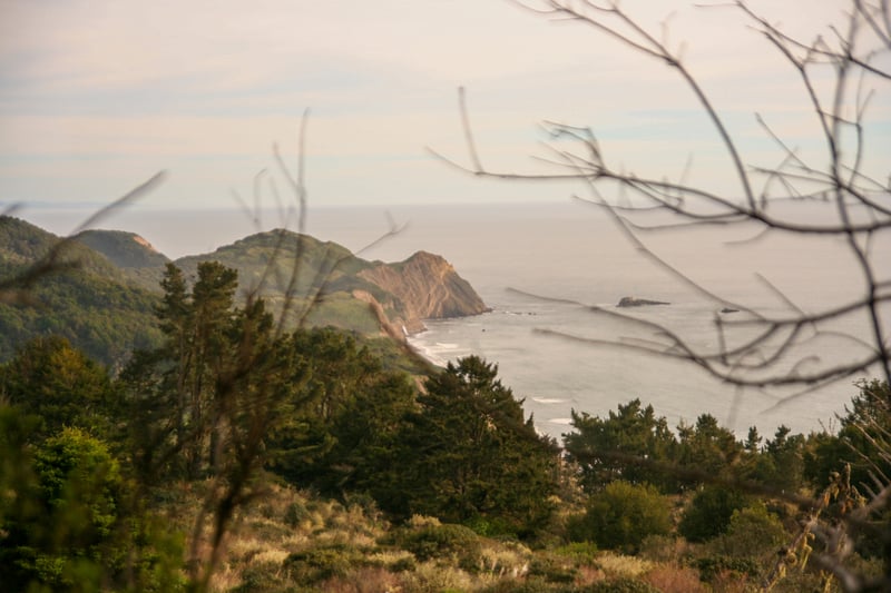 Palomarin Coastal Overlook