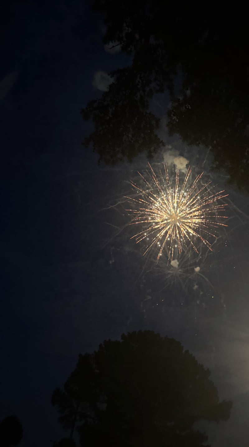 Seymour Johnson AFB Fireworks