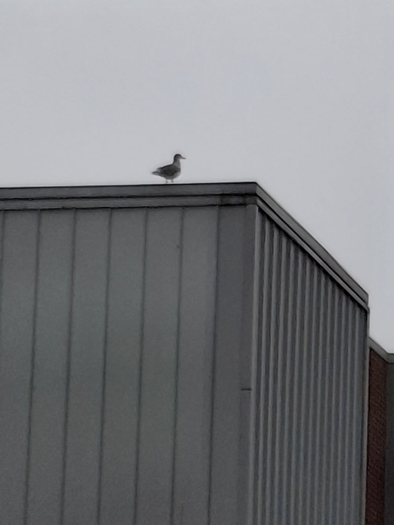 Vancouver Industrial Rooftop